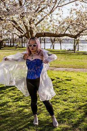 SON06569