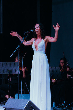 DSC04533