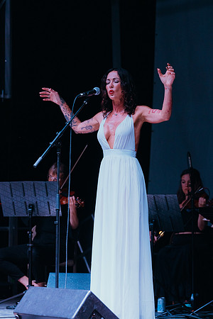 DSC04534