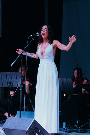 DSC04537