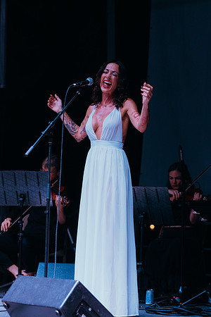 DSC04554