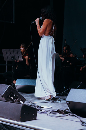 DSC04982