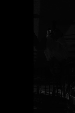 DSC01342