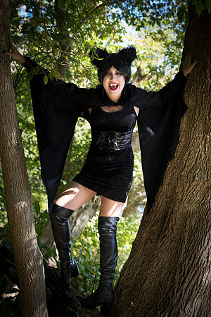 SON06175