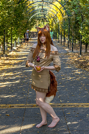 DSC06617-2