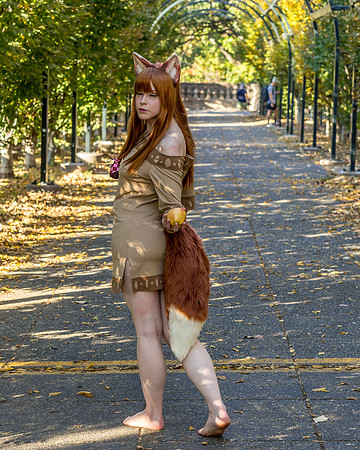 DSC06574-2