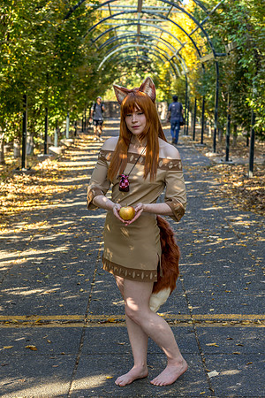 DSC06604-2