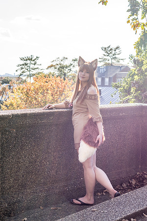 DSC06566-2