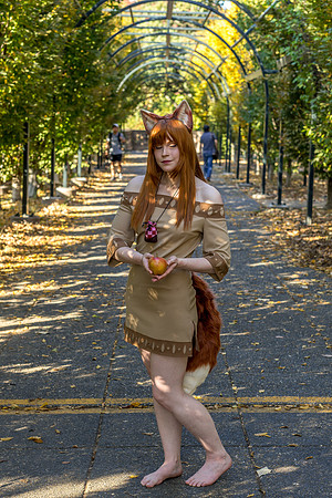 DSC06608-2