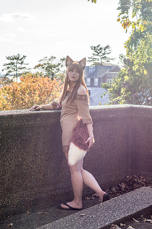 DSC06561-2
