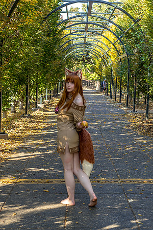 DSC06593-2