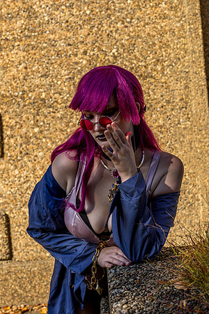 DSC06387-2