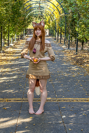 DSC06626-2