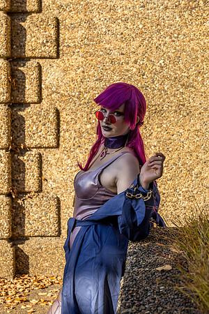 DSC06421-2