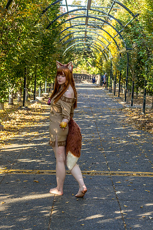 DSC06576-2