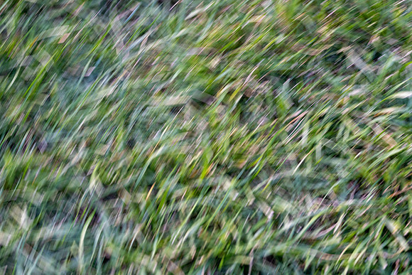 DSC06393
