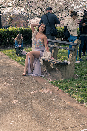 DSC01533