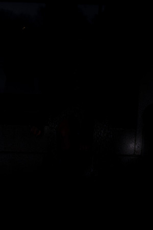 DSC08966