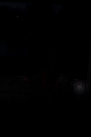 DSC08960