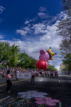 DSC06730