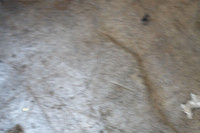 DSC02381